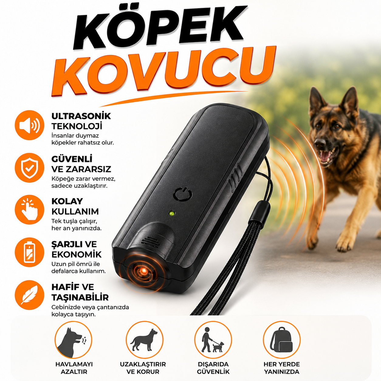 KÖPEK KOVUCU